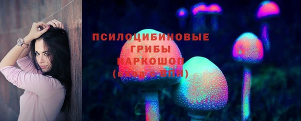 стафф Аркадак