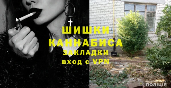 индика Армянск