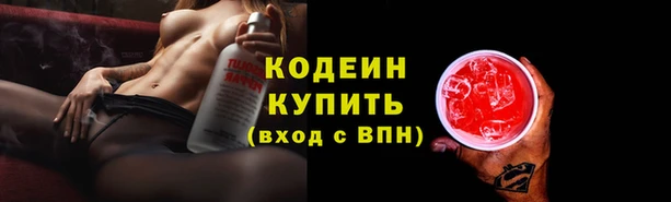 индика Армянск