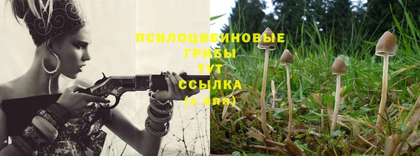 гидропоника Арсеньев
