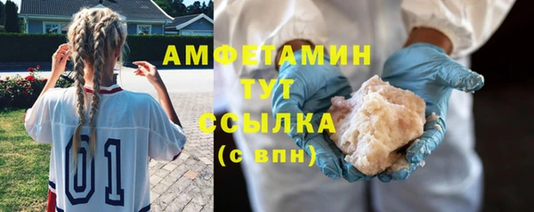 стафф Аркадак