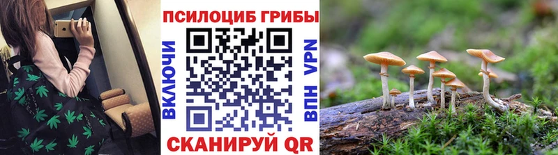 blacksprut сайт  Таруса  Псилоцибиновые грибы Magic Shrooms  хочу наркоту 