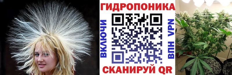Конопля Amnesia Таруса